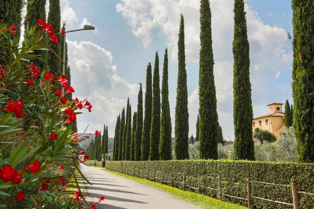 Villa Ligustro Riparbella Εξωτερικό φωτογραφία