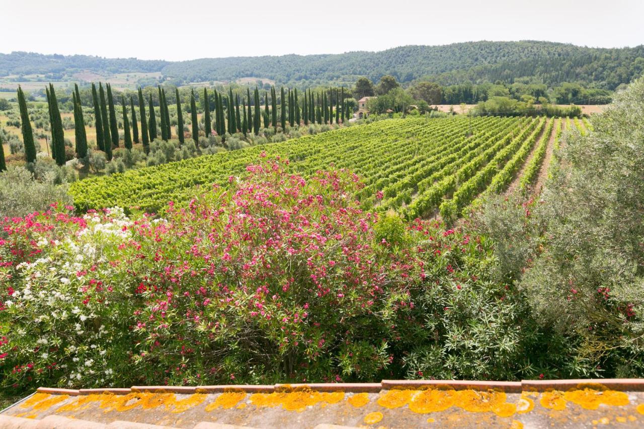 Villa Ligustro Riparbella Εξωτερικό φωτογραφία